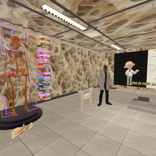 Skeleton Systems - The Bone Yard